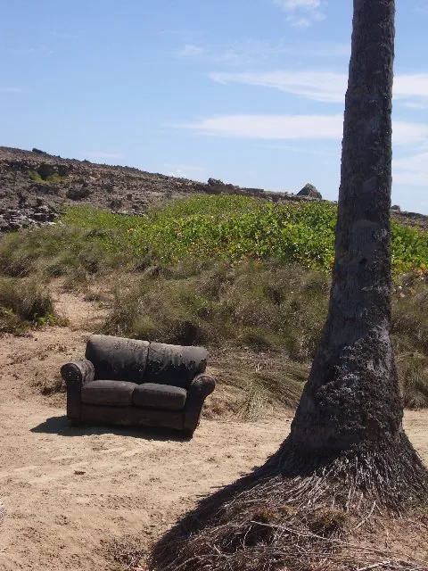 An abandoned couch on the sand beside a palm tree, under a bright blue sky